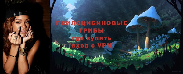 крисы Алексеевка
