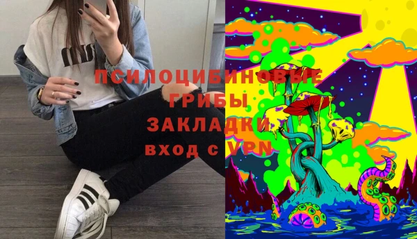 винт Алексин