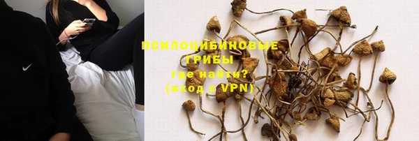 mdpv Алзамай