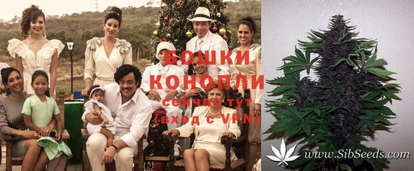 винт Алексин