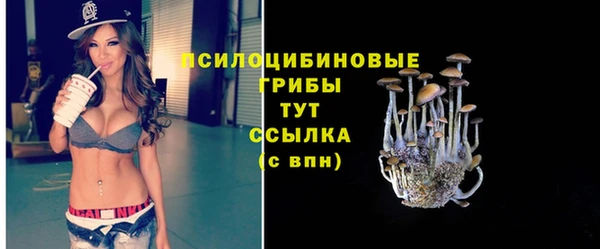 винт Алексин