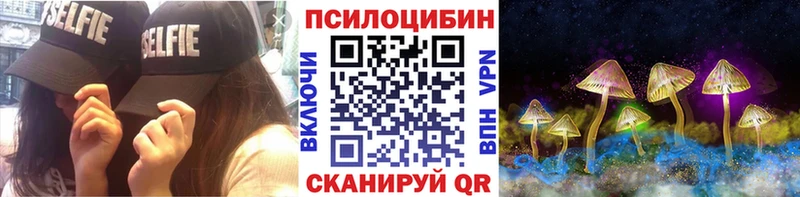 что такое наркотик  Сорочинск  Псилоцибиновые грибы Psilocybe 